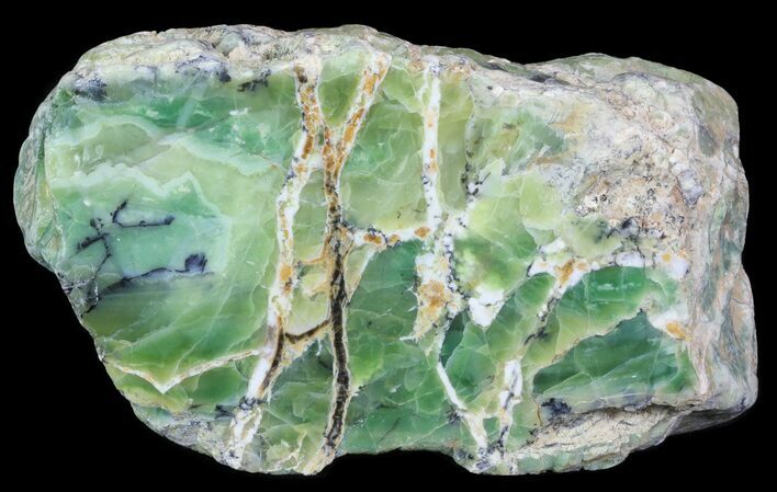 Polished Green-White Opal Slab - Western Australia #65403